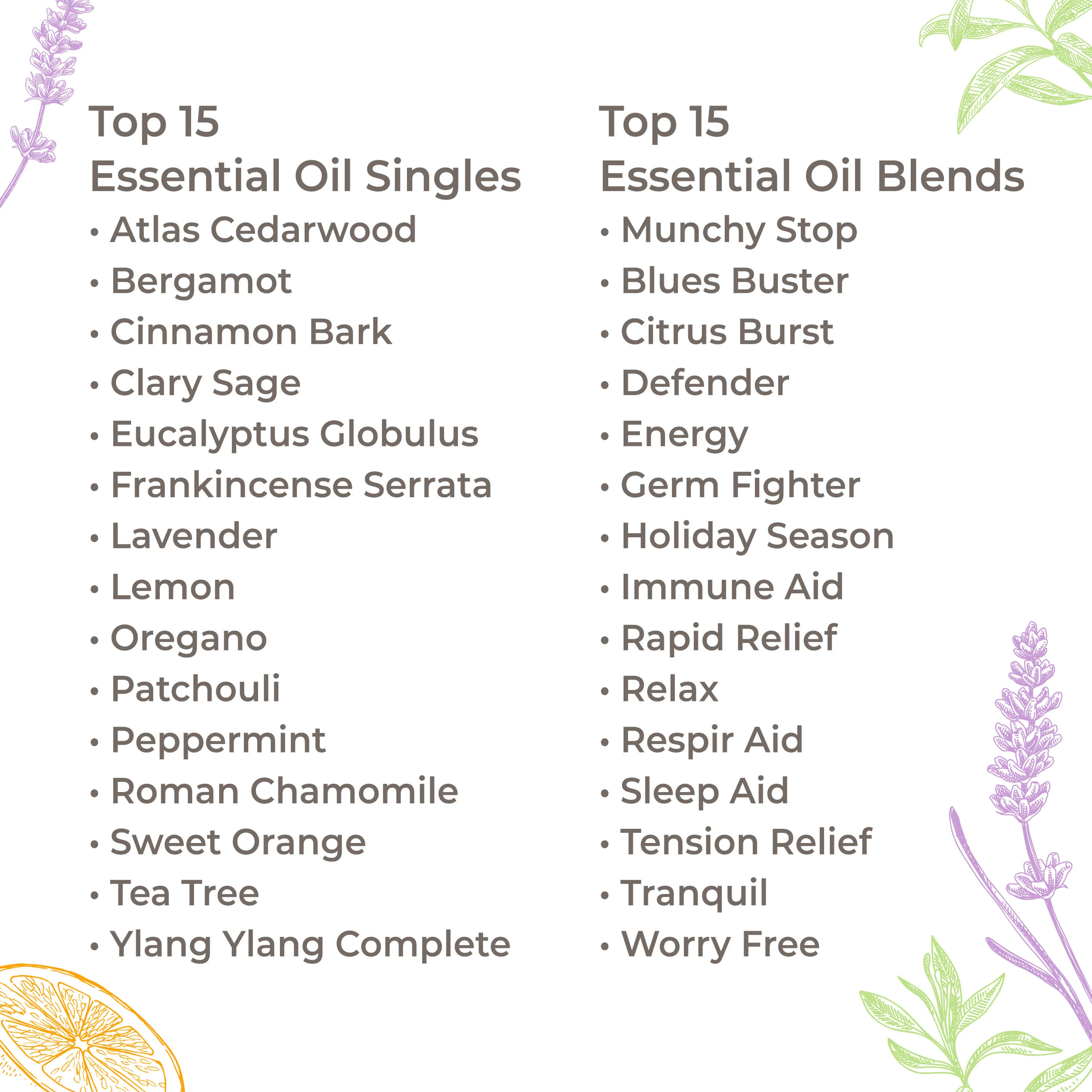 15 & 15 Essential Oil Set with Carrying Case - Image 3