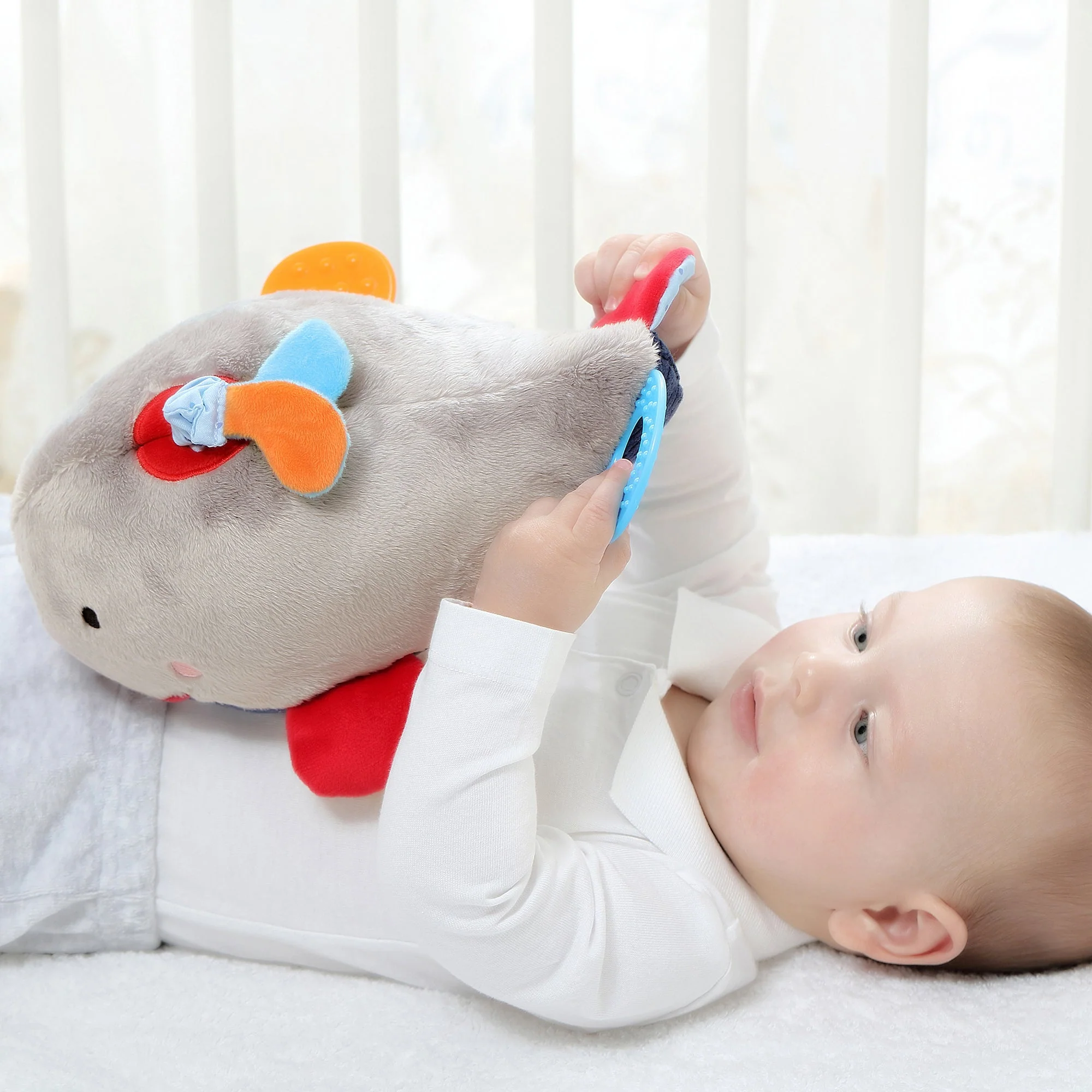 Activity Whale - Image 2