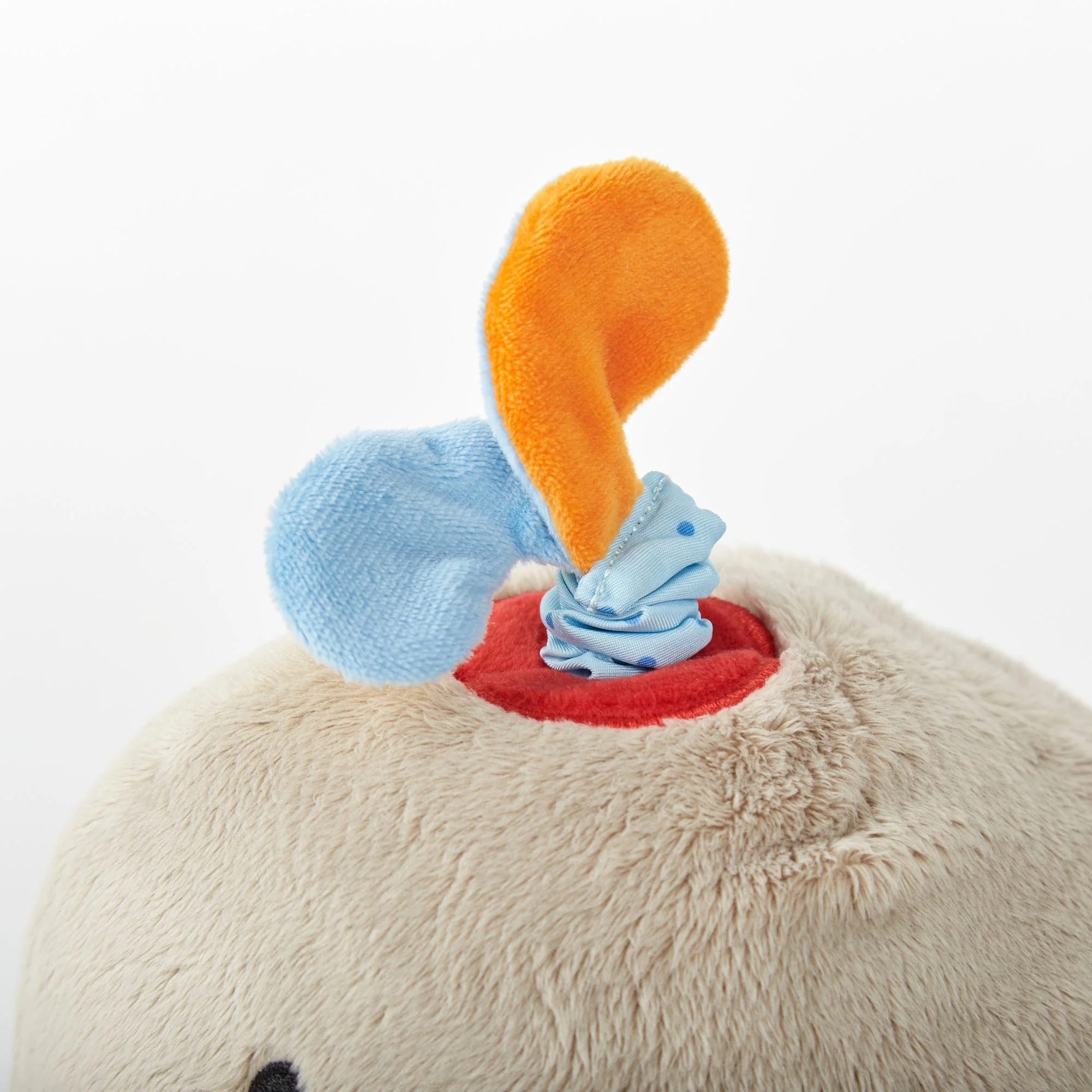 Activity Whale - Image 3