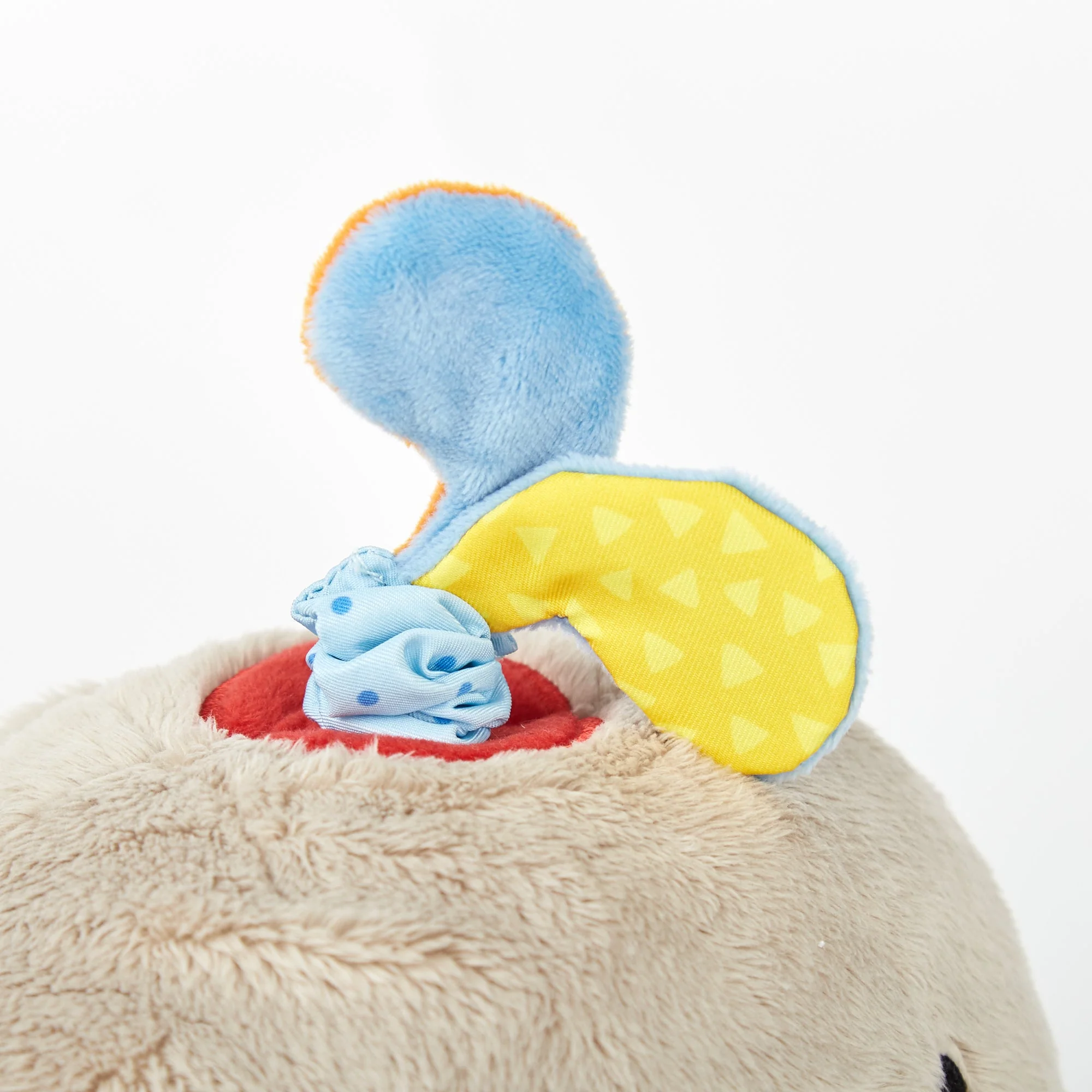 Activity Whale - Image 4