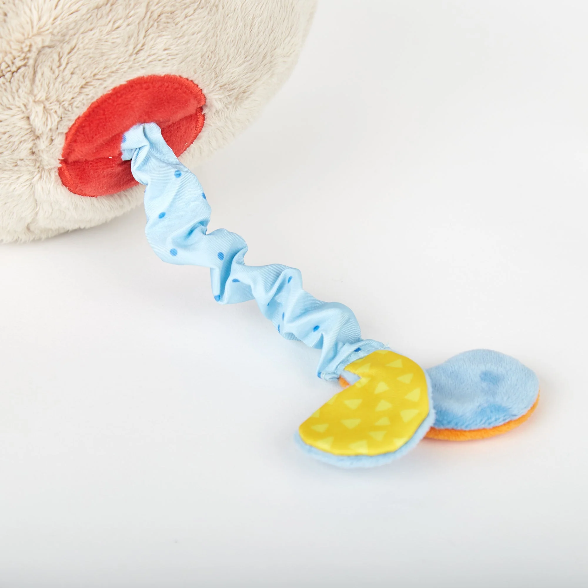 Activity Whale - Image 8