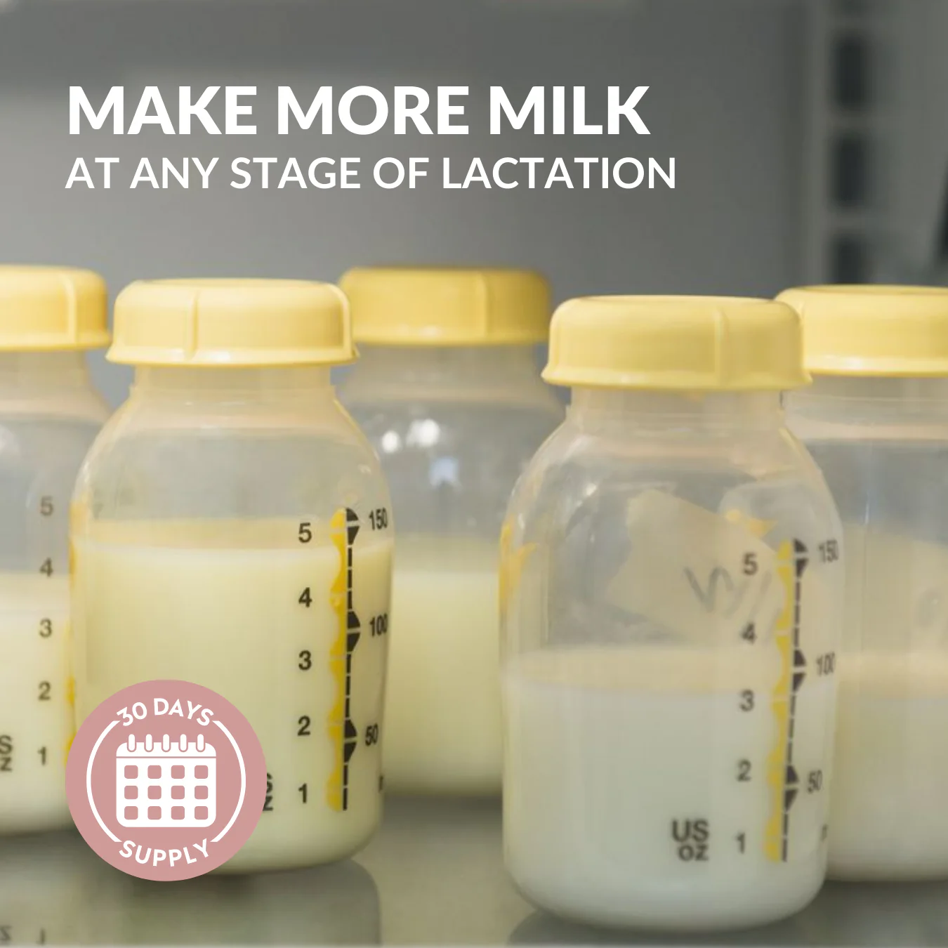 Advanced Lactation Formula - Image 2