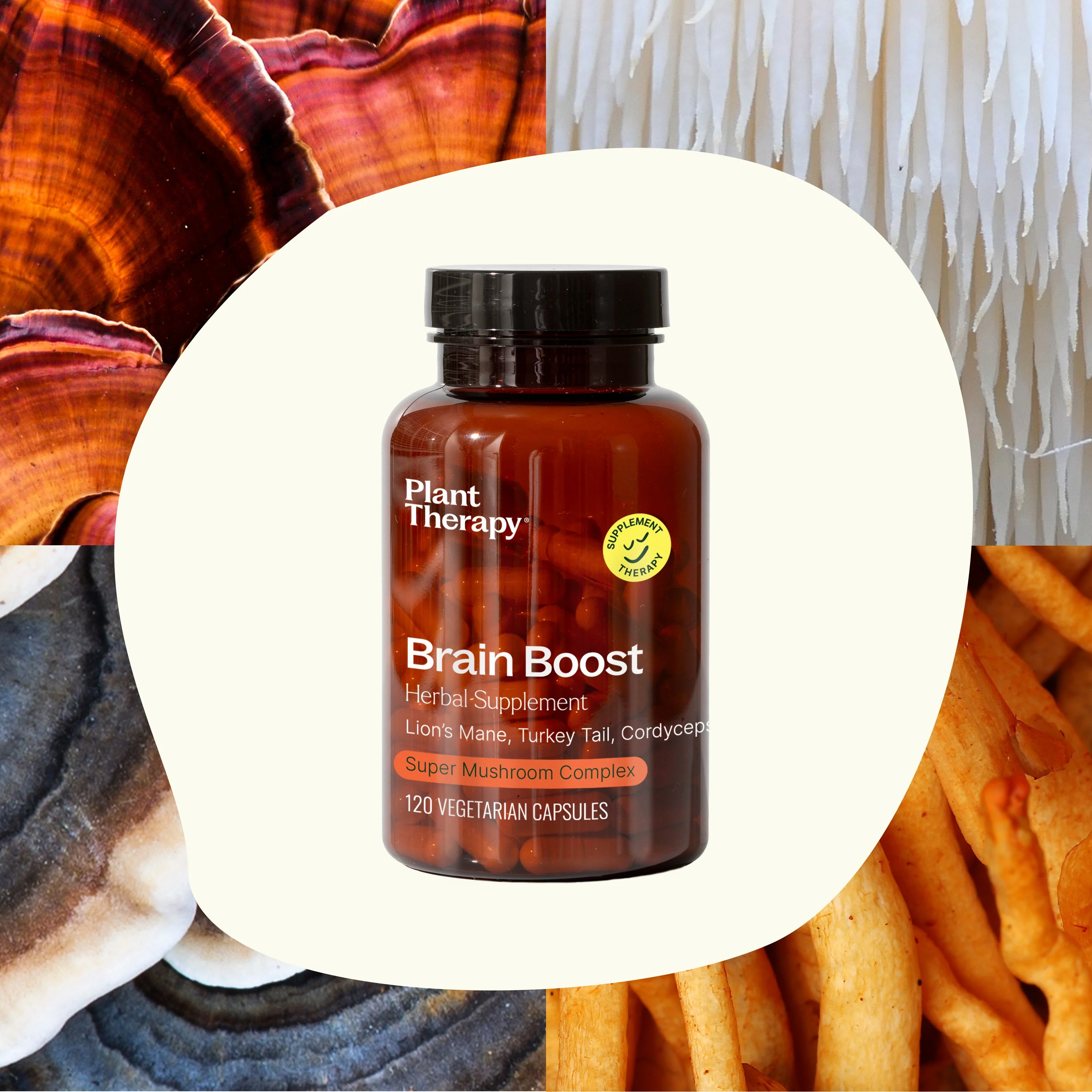 Brain Boost Herbal Supplement - 120 Capsules - Image 3