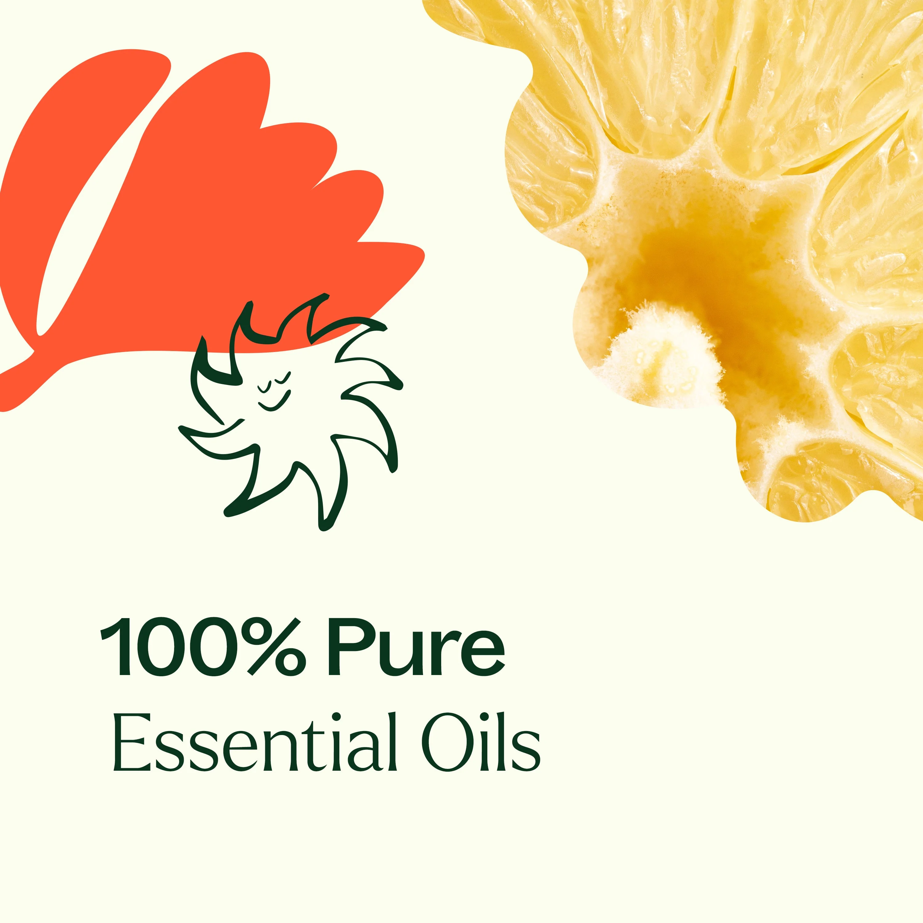 Cleaning Duo: Citrus Burst + Chamomile Sleeve - Image 4