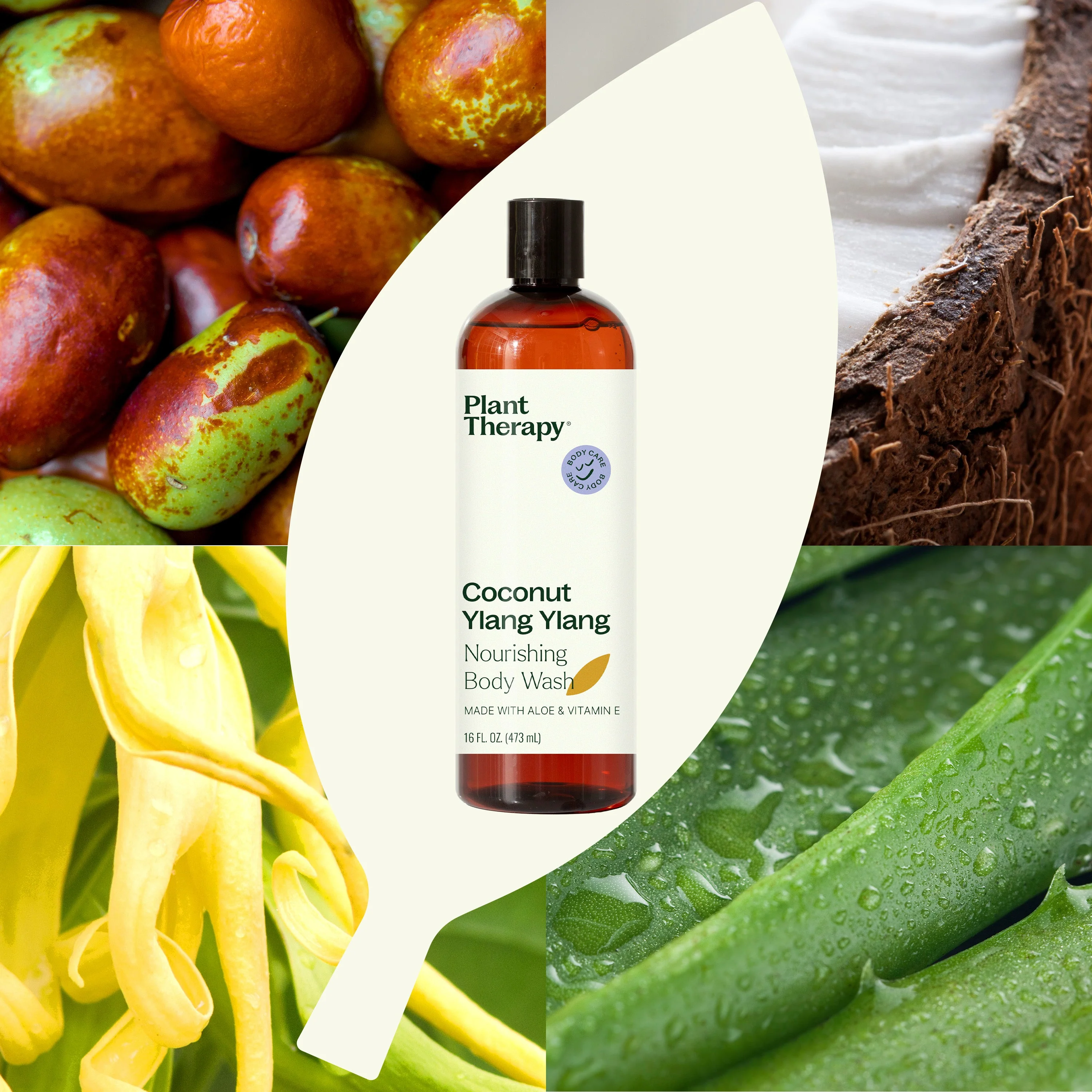 Coconut Ylang Ylang Body Wash - Image 2