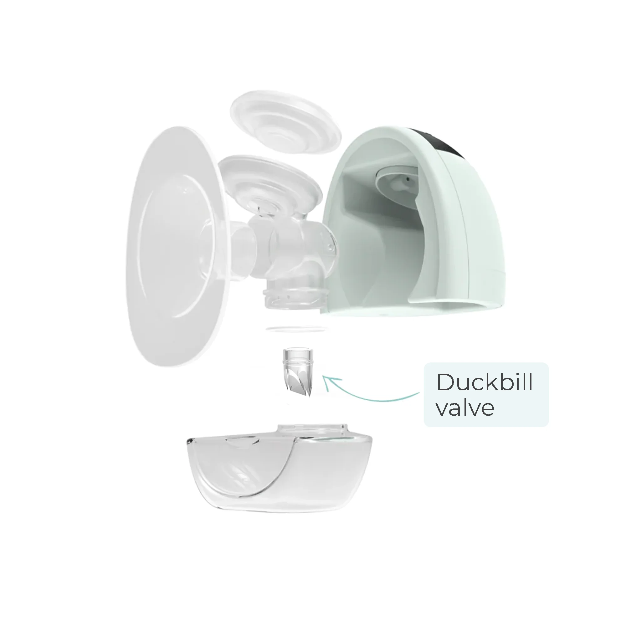 Fit Duckbill Valves (Set of 2) - Image 2
