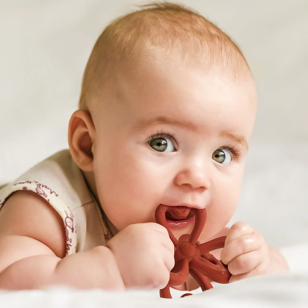 Haakaa Silicone Clover Teether 1 PK - Image 2