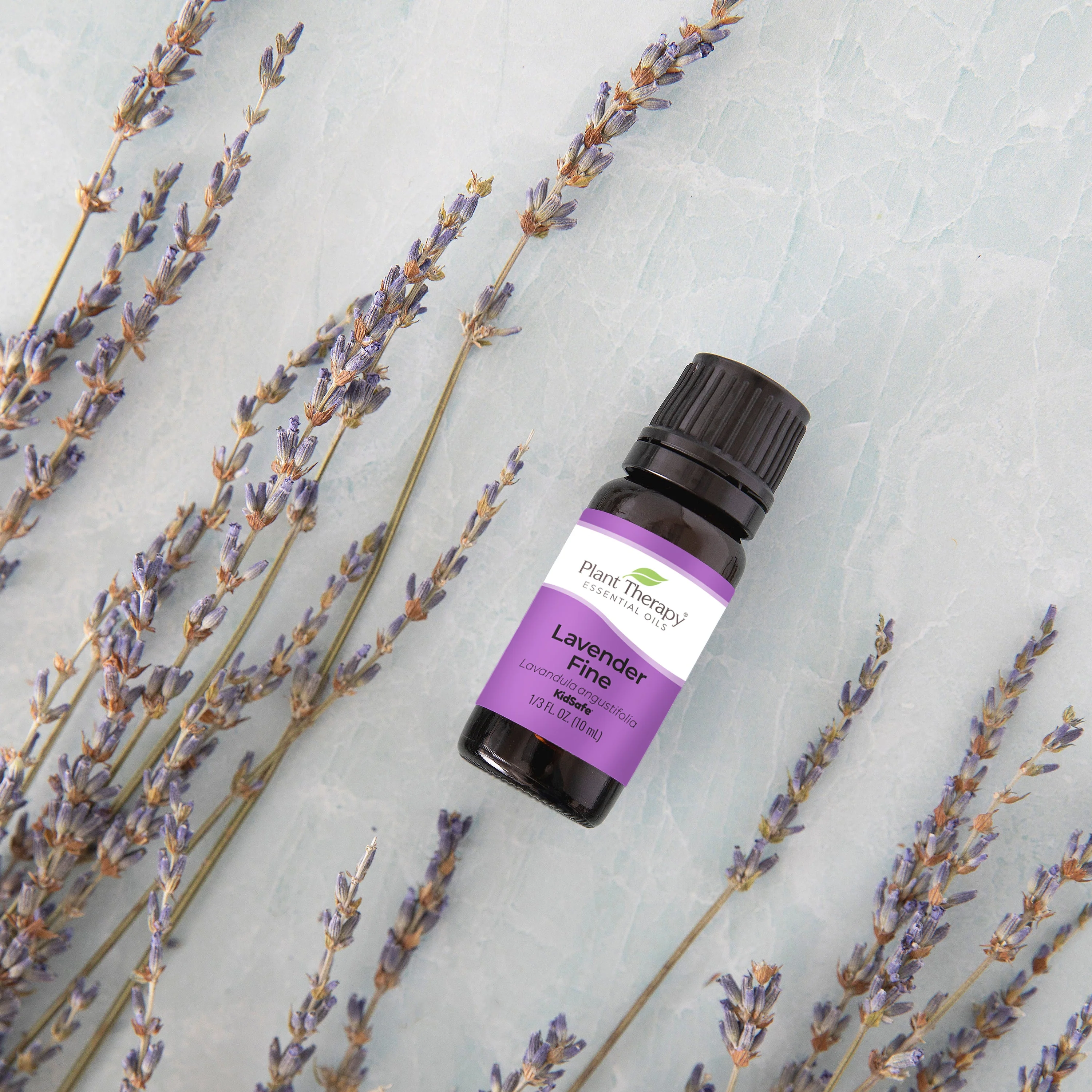 Lavender Fine Essential Oil - Image 2