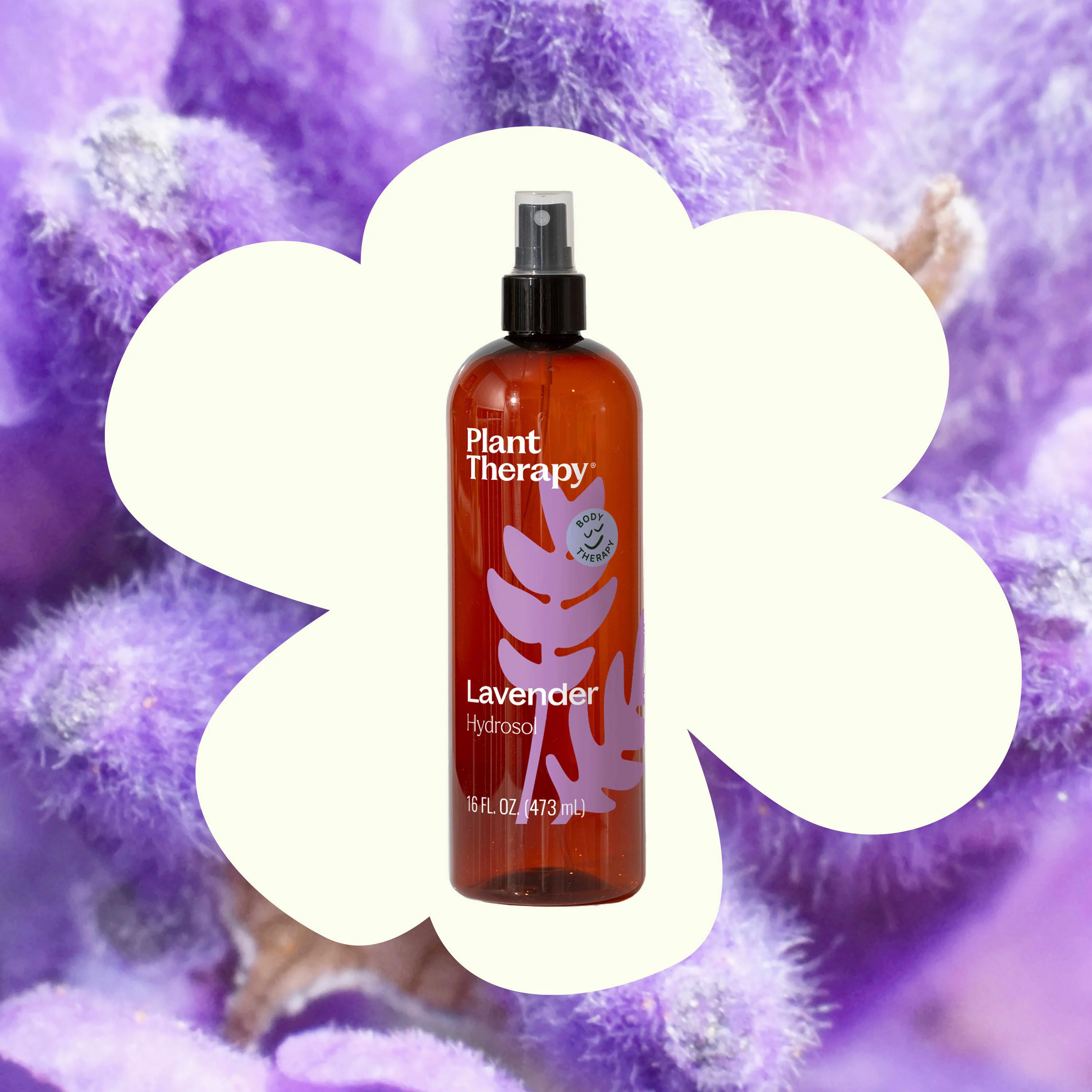 Lavender Hydrosol - Image 2