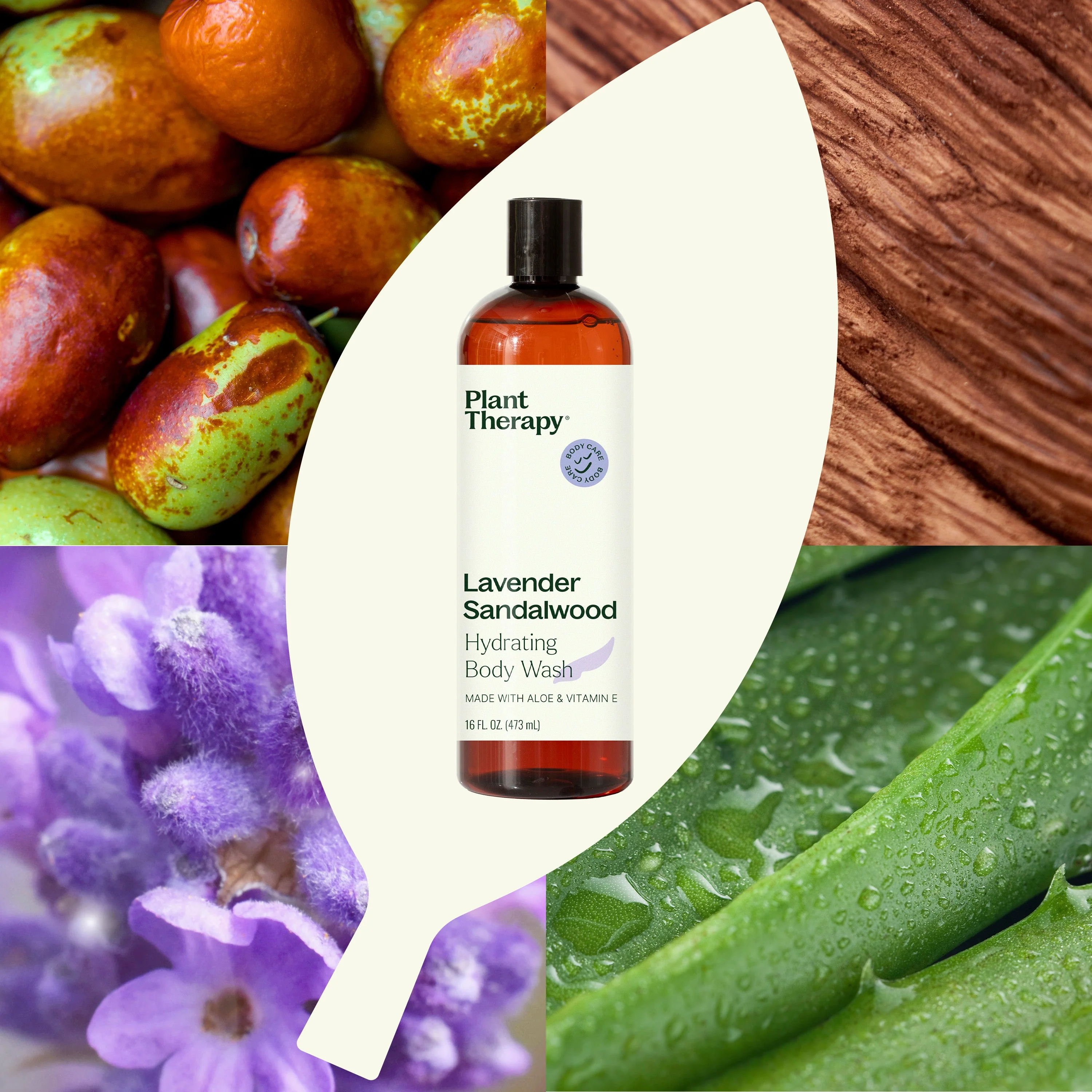 Lavender Sandalwood Body Wash - Image 2
