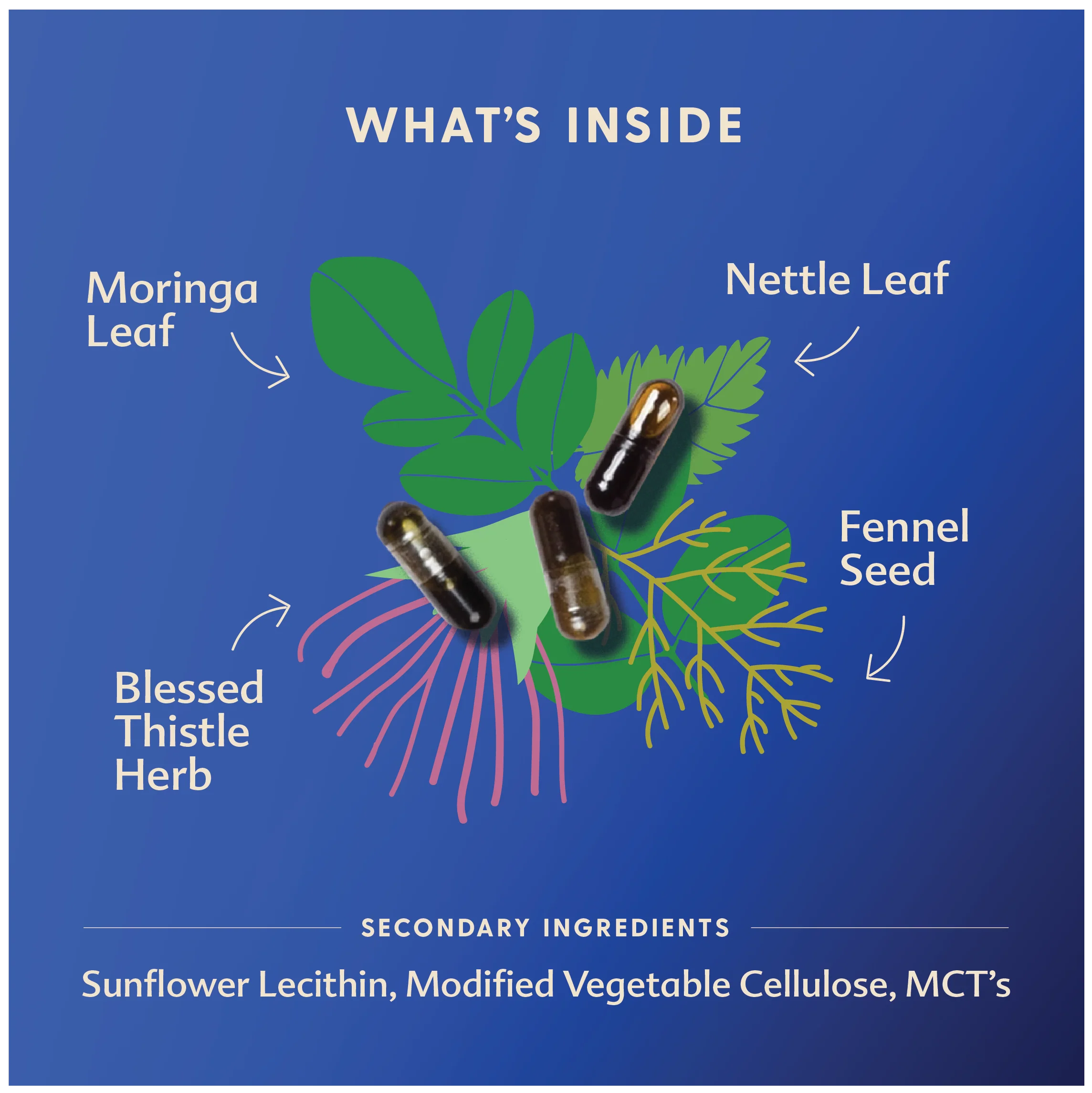 More Milk® Moringa - Liquid Capsules - Image 6