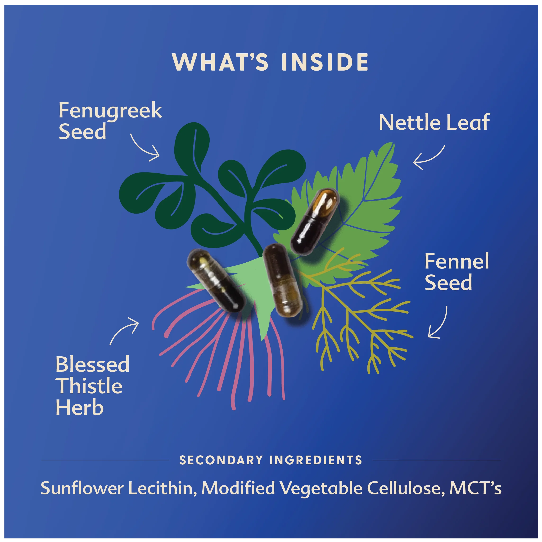 More Milk Plus® - Liquid Capsules - Image 6