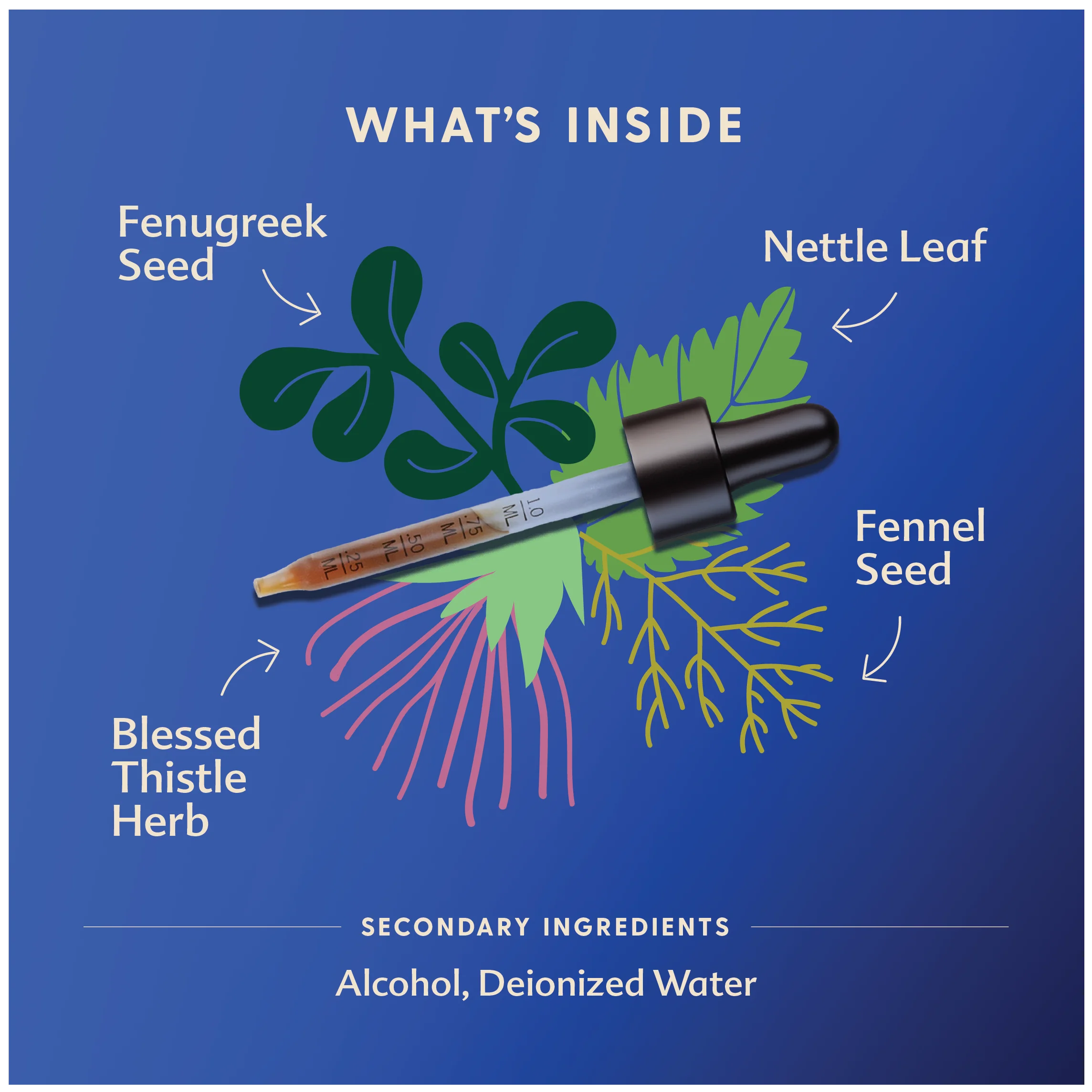 More Milk Plus® - Traditional Tincture - Image 5