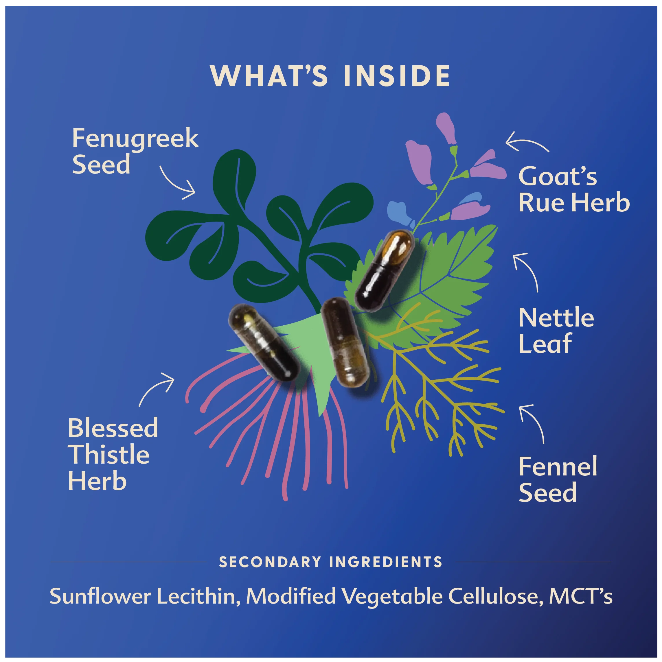 More Milk® Special Blend - Liquid Capsules - Image 6