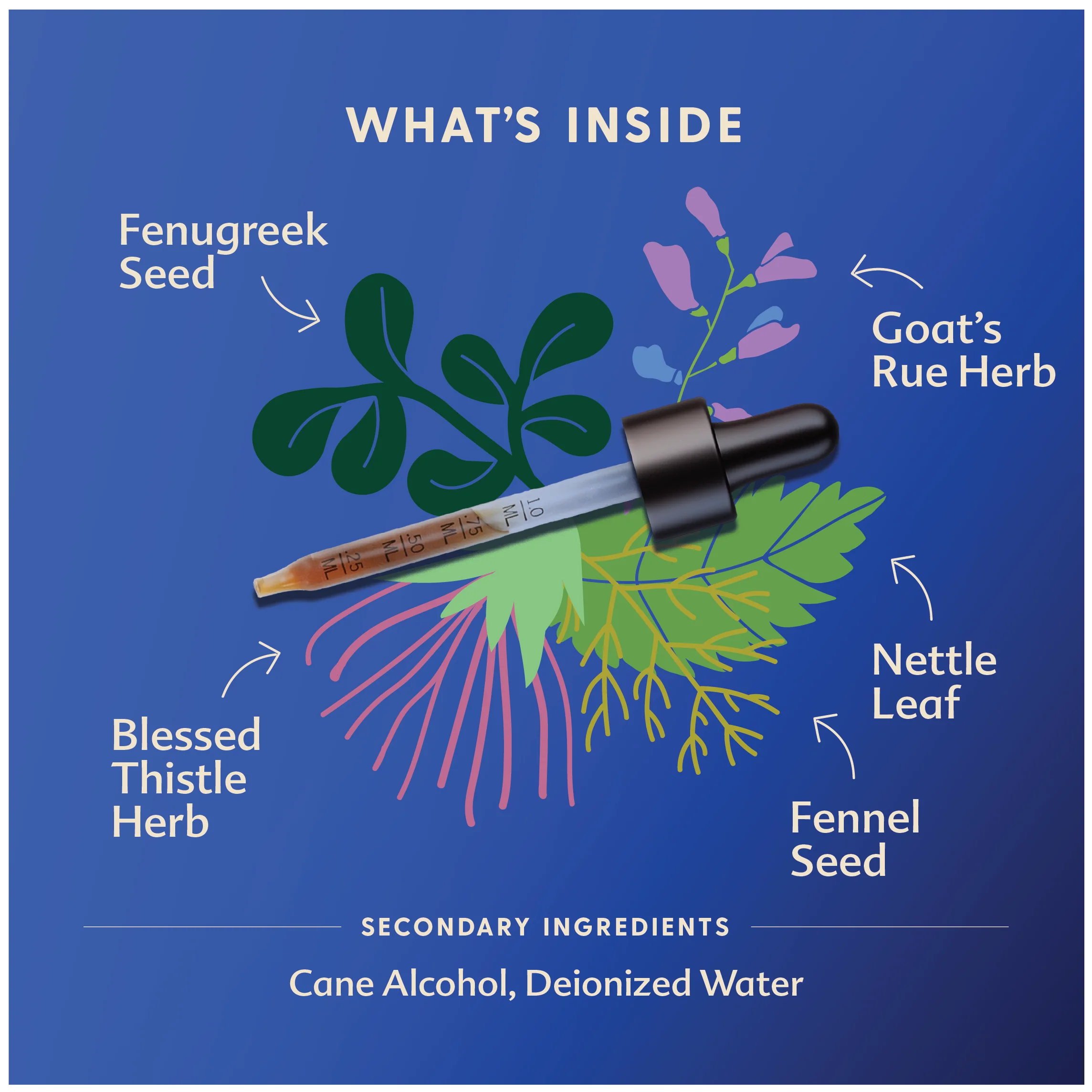 More Milk® Special Blend - Traditional Tincture - Image 5