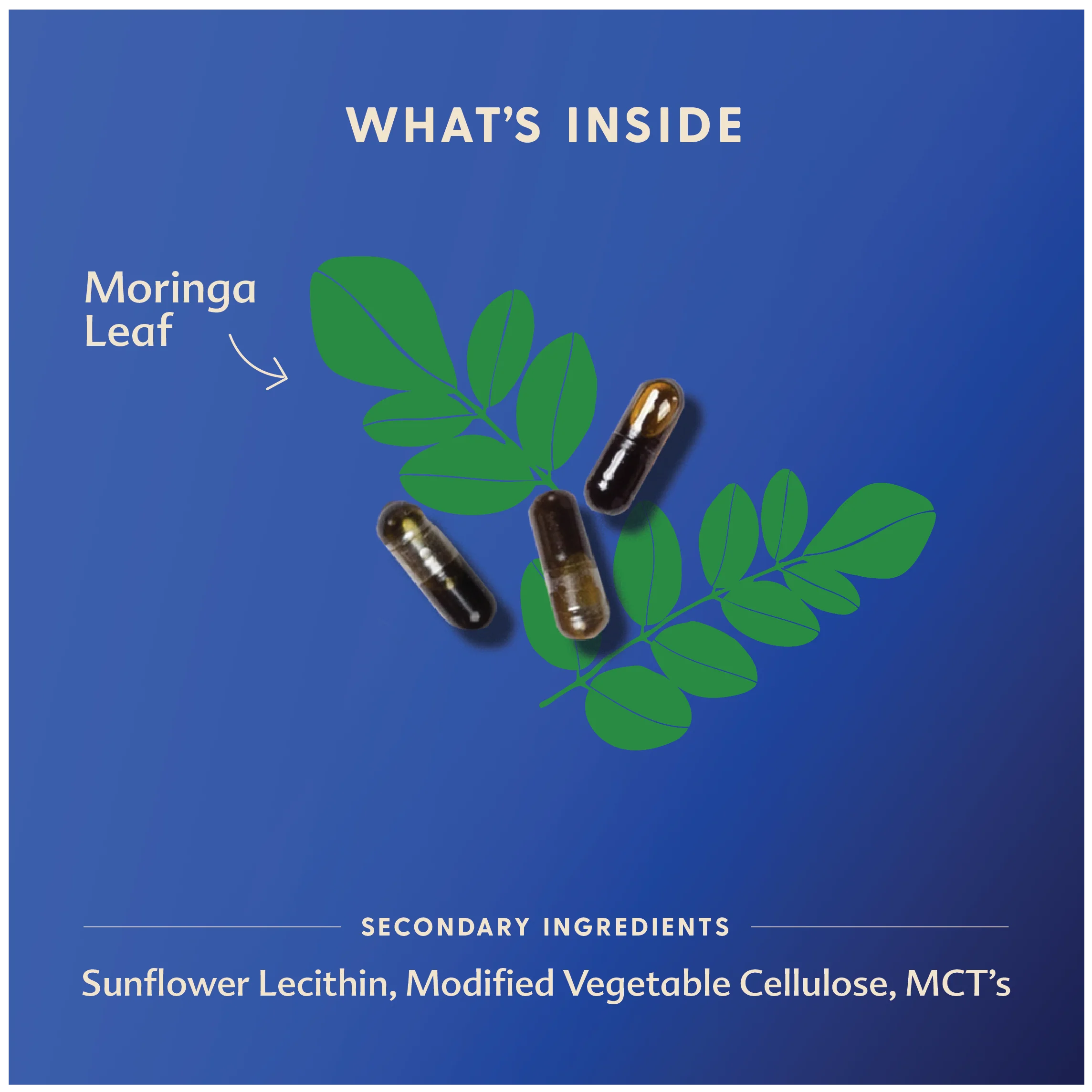 Moringa (Malunggay) - Liquid Capsules - Image 6