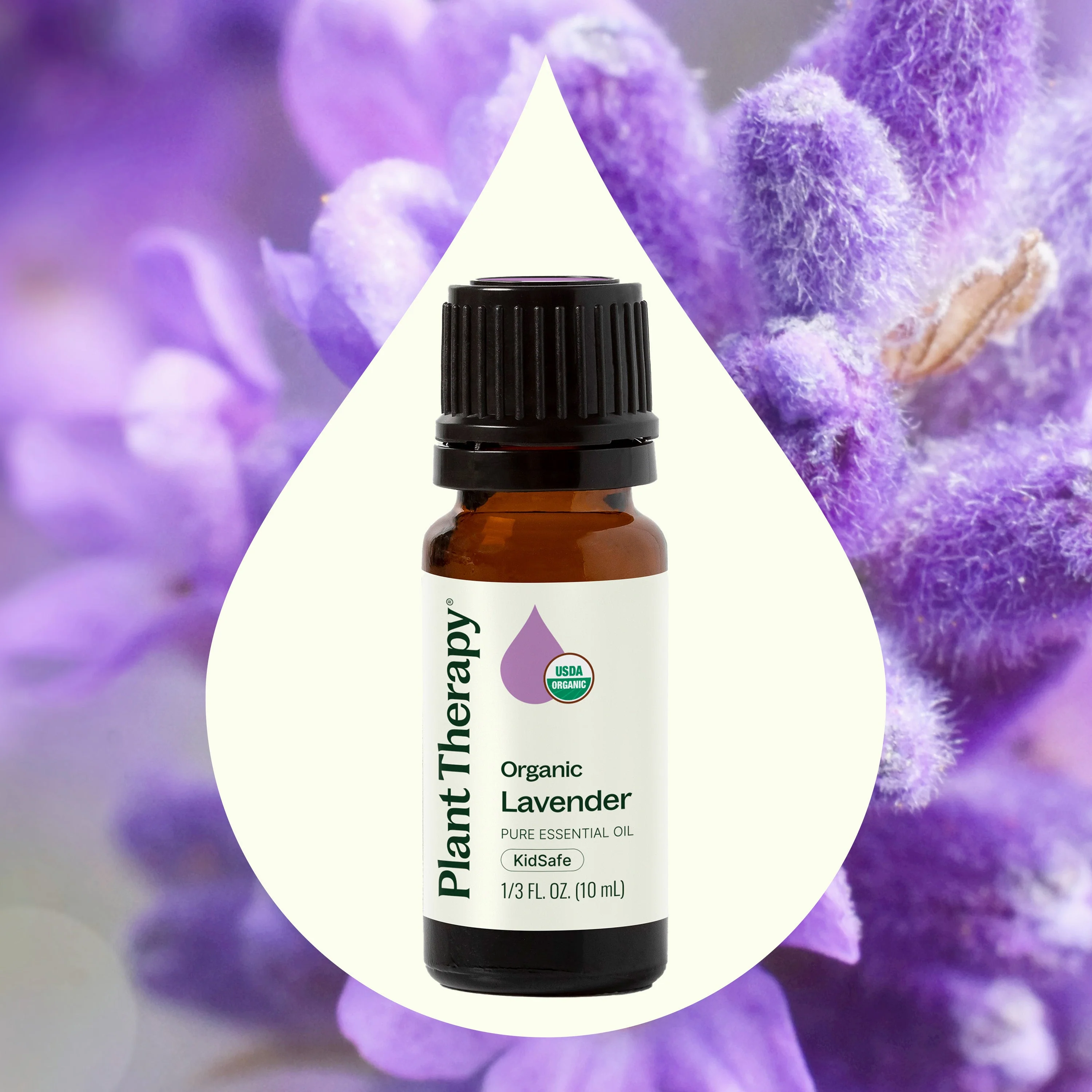 Organic Lavender Essential Oil - Image 2