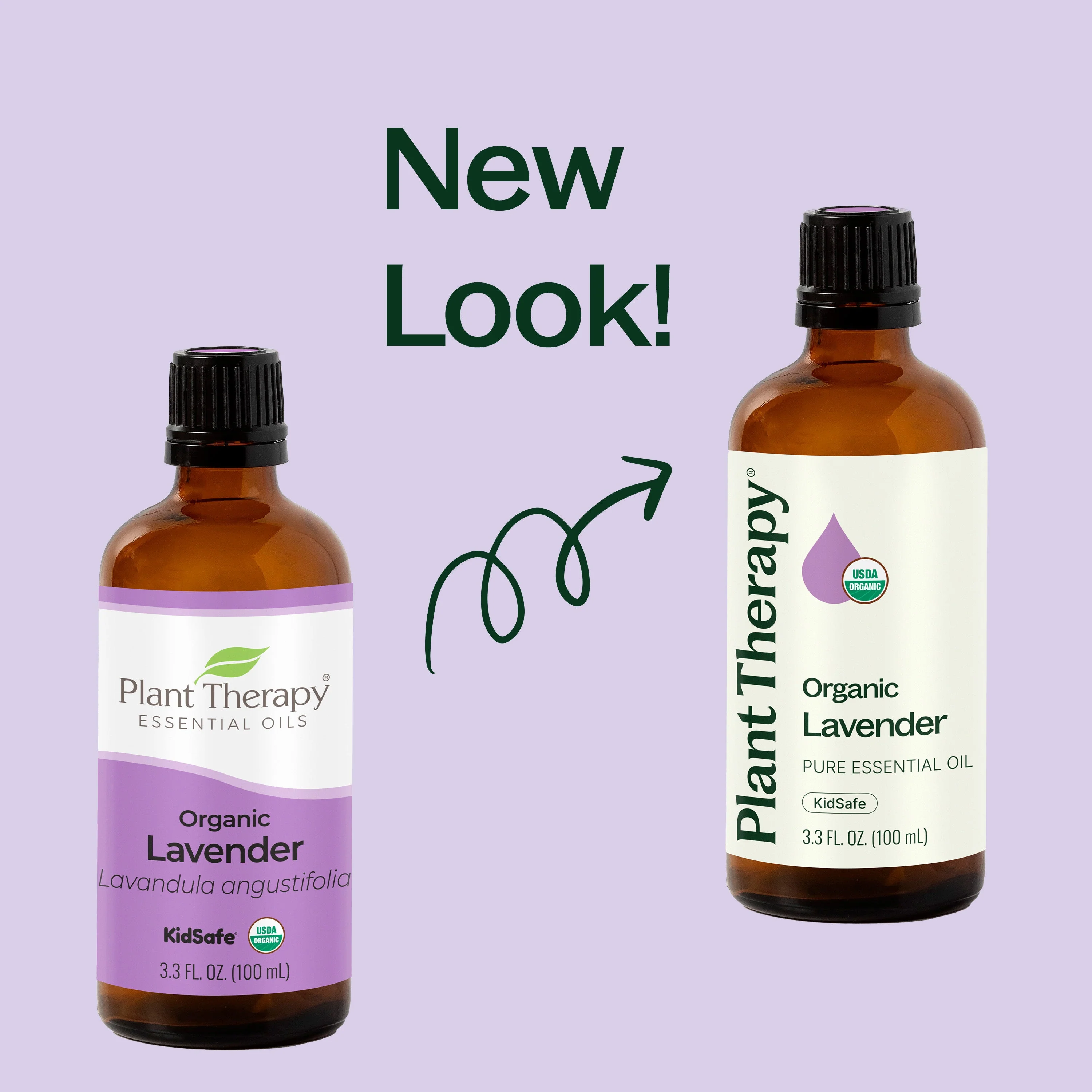 Organic Lavender Essential Oil - Image 7
