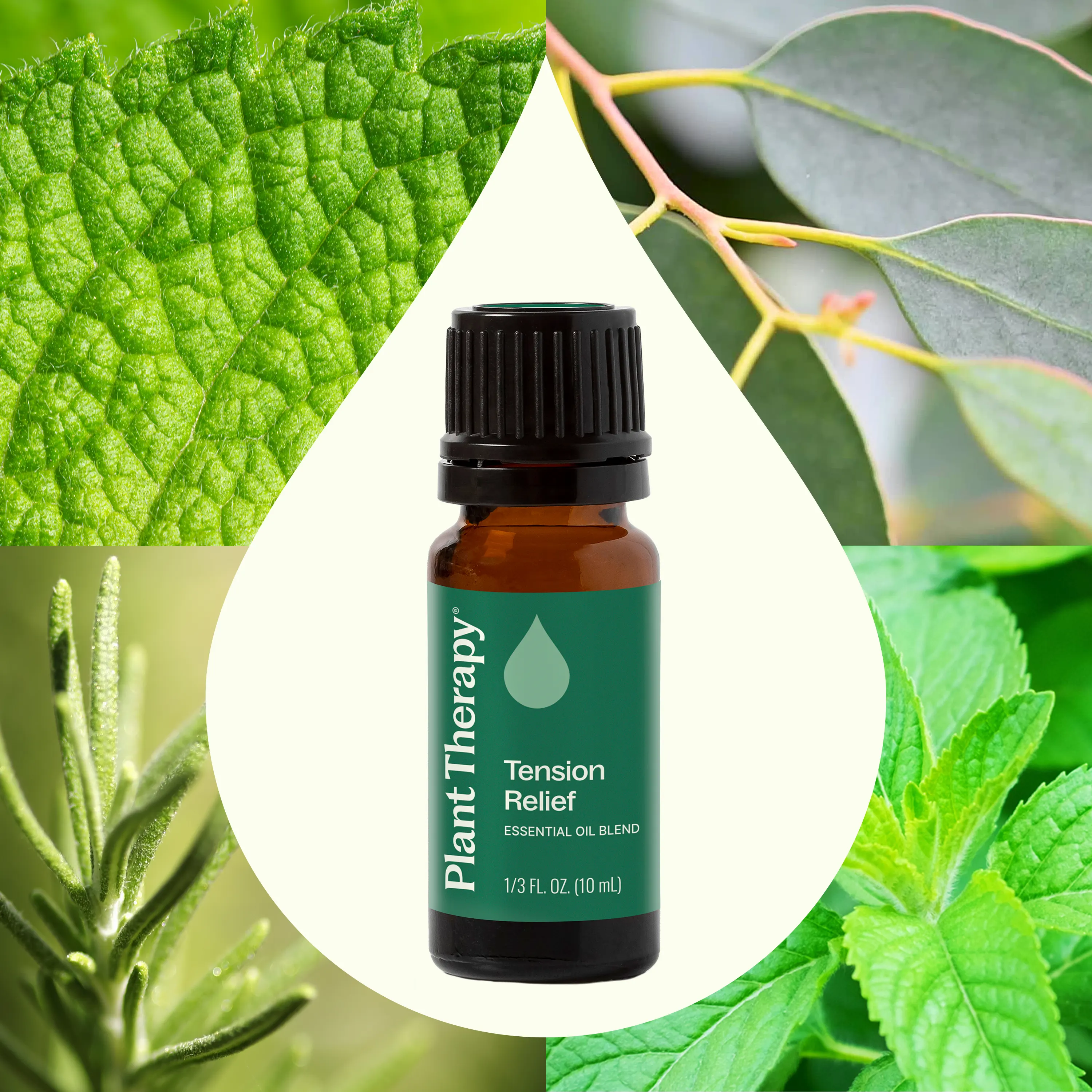 Tension Relief Essential Oil Blend - Image 2