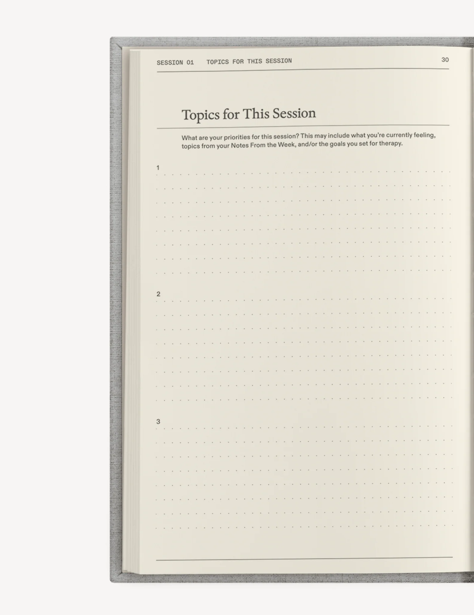 The Therapy Journal - Image 13