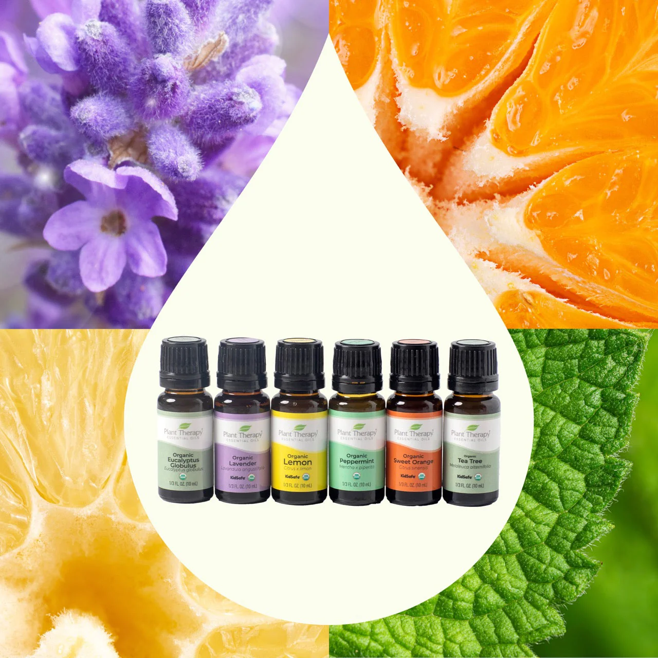 Top 6 Organic Singles Essential Oil Set - Image 2